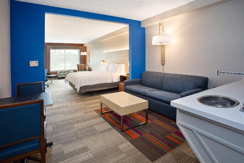 Holiday Inn Express Suites Rochester Webster image