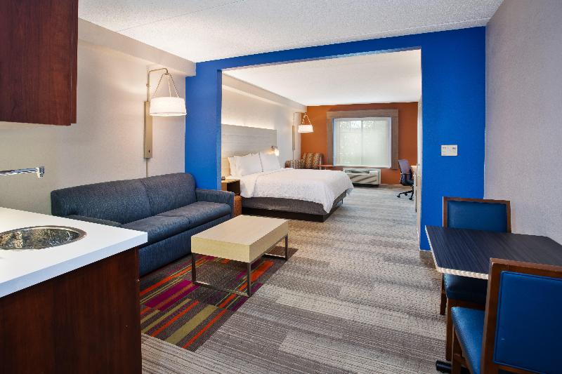 Holiday Inn Express Suites Rochester Webster image