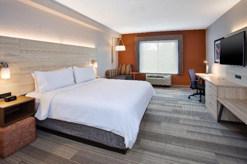 Holiday Inn Express Suites Rochester Webster image