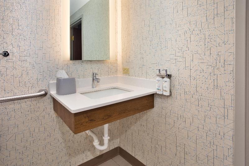 Holiday Inn Express Suites Rochester Webster image
