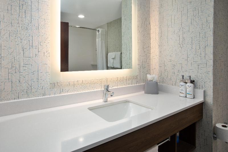 Holiday Inn Express Suites Rochester Webster image