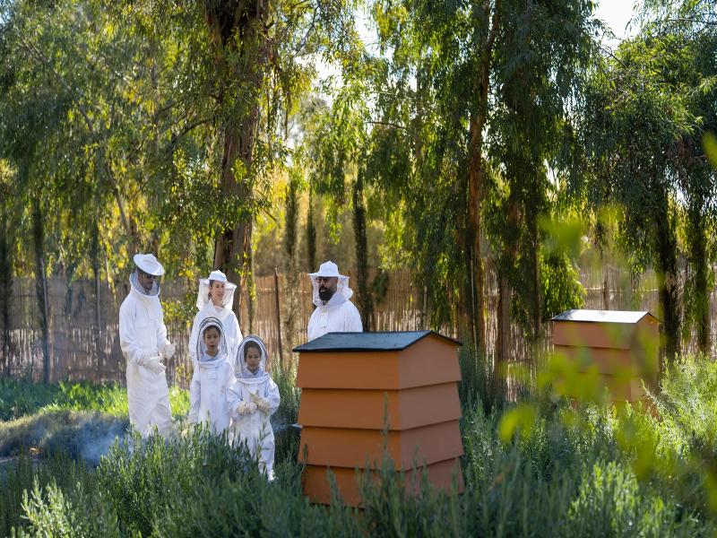 Mandarin Oriental Marrakech image