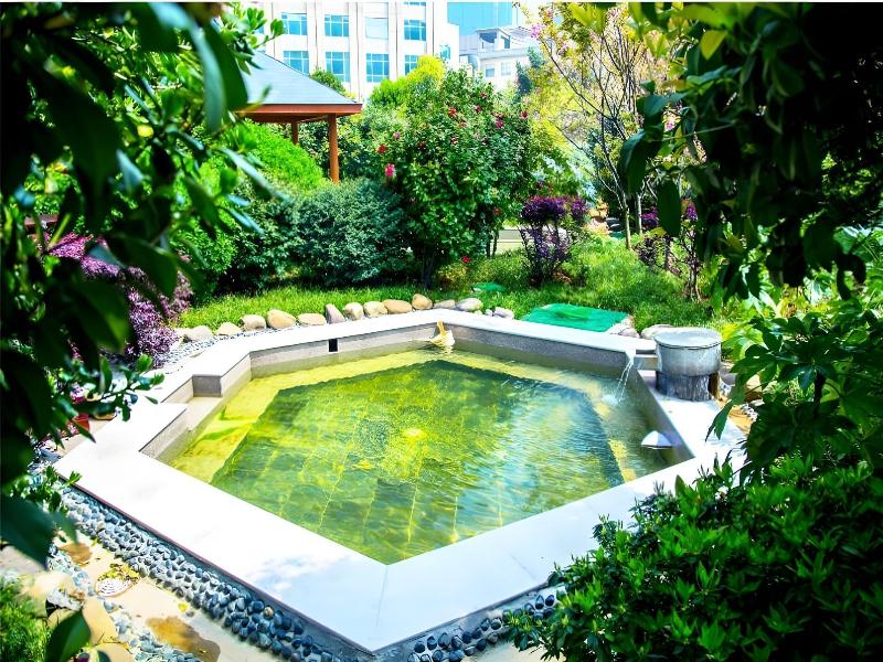 Dolton Changsha Spa Hotel image 9