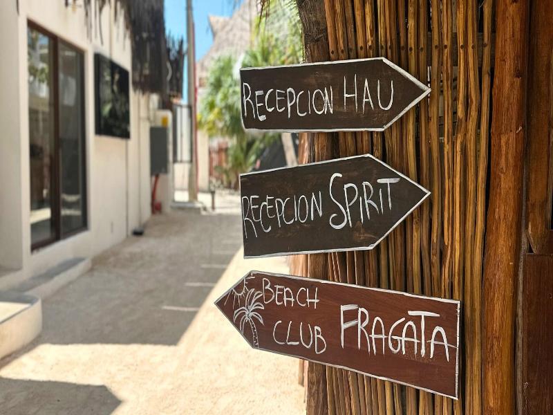 Spirit Holbox