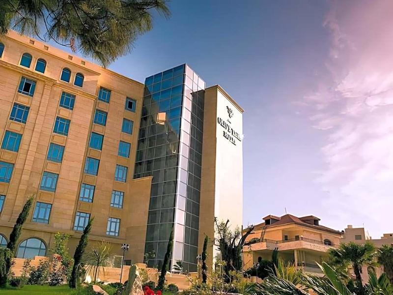 Olive Tree Amman image