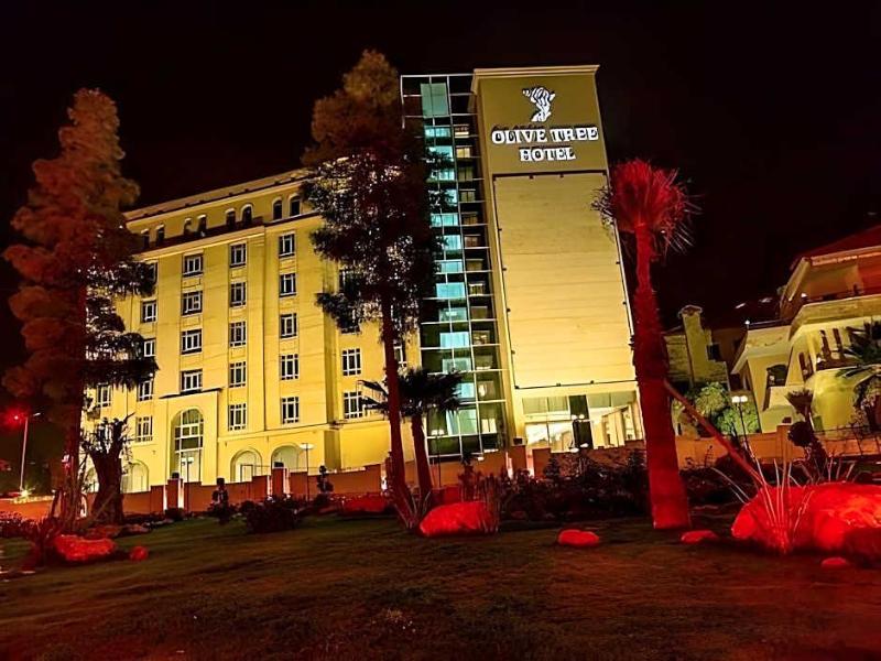 Olive Tree Amman image