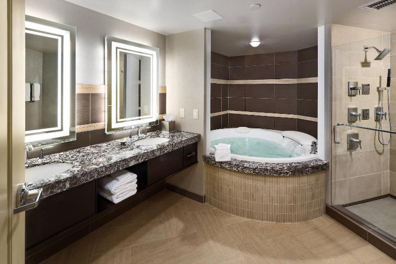 South Sioux City Marriott Riverfront image