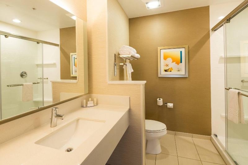Fairfield Inn & Suites By Marriott Detroit Chester - Image 4
