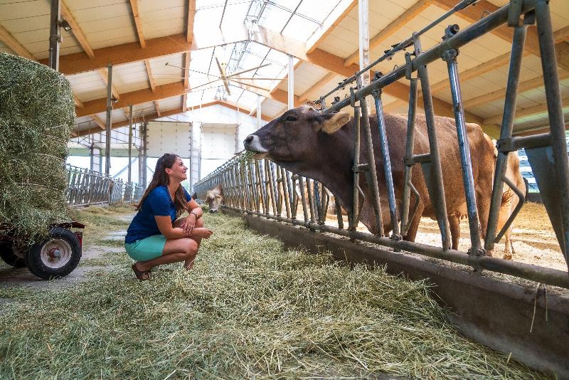 Holiday Inn St Jean Sur Richelieu Congres