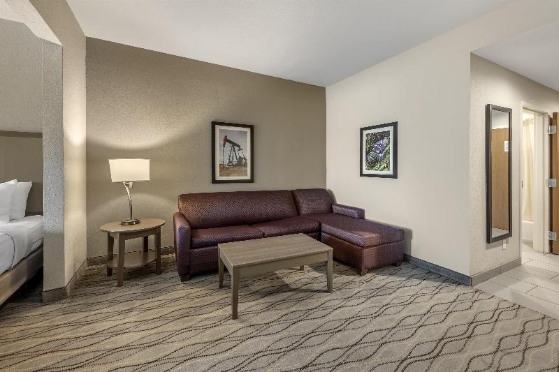 Best Western Plus Pauls Valley image