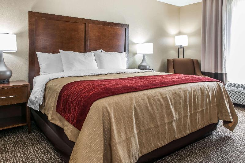 Comfort Inn & Suites Mt Sterling image