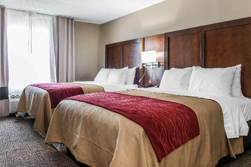 Comfort Inn & Suites Mt Sterling image