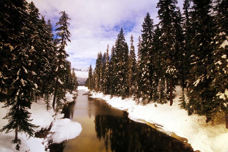 Suncadia Resort image
