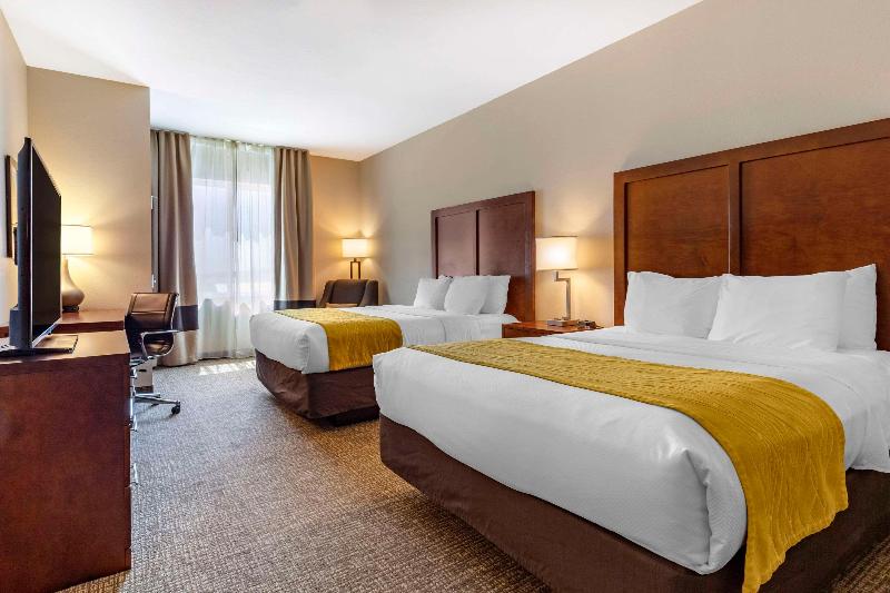 Comfort Inn & Suites Edgewood image