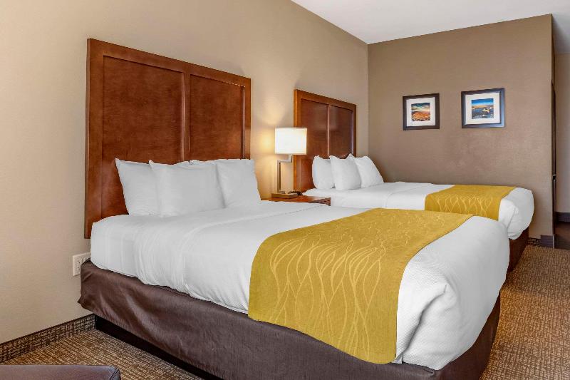 Comfort Inn & Suites Edgewood image