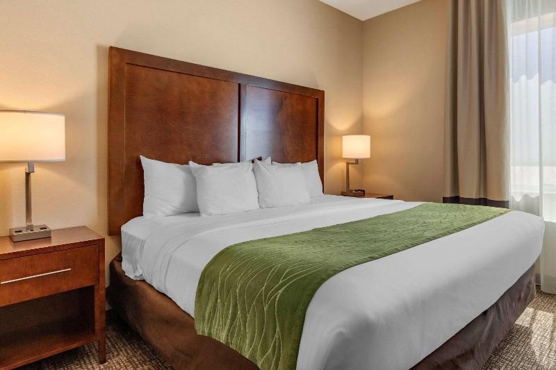 Comfort Inn & Suites Edgewood image