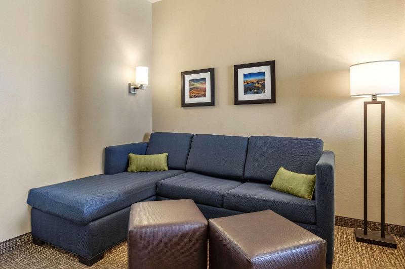 Comfort Inn & Suites Edgewood image