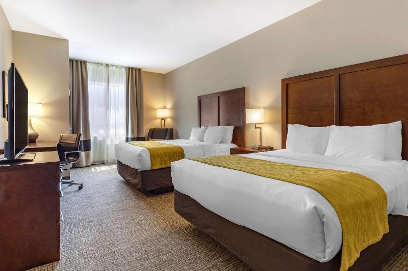 Comfort Inn & Suites Edgewood image