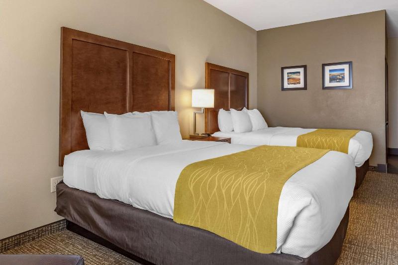 Comfort Inn & Suites Edgewood image