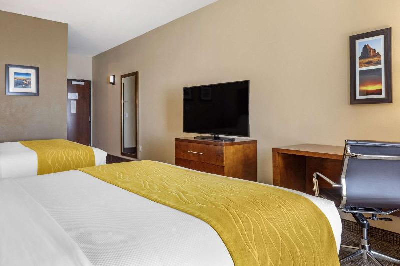 Comfort Inn & Suites Edgewood image