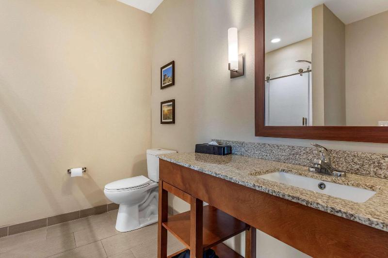 Comfort Inn & Suites Edgewood image