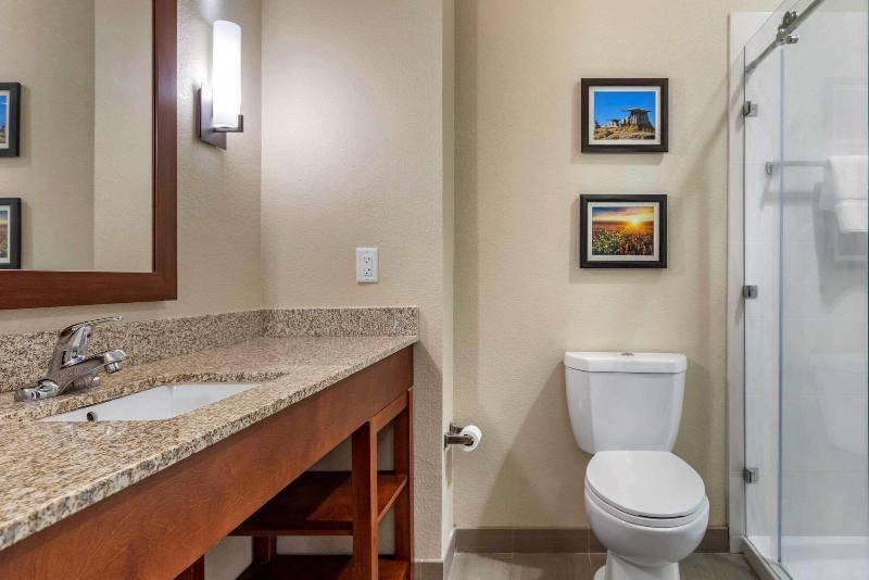 Comfort Inn & Suites Edgewood image