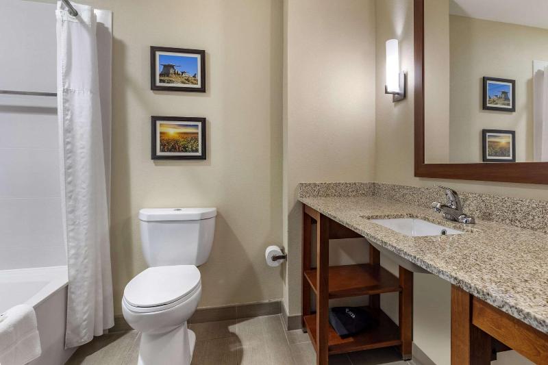 Comfort Inn & Suites Edgewood image