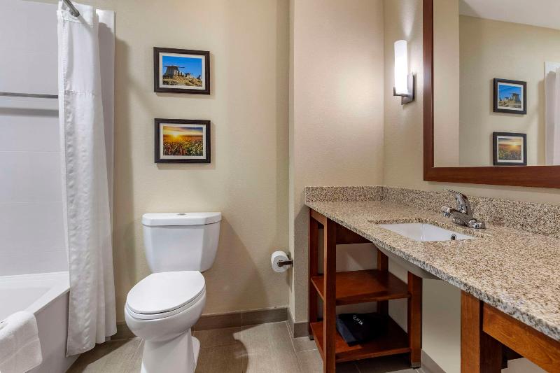 Comfort Inn & Suites Edgewood image