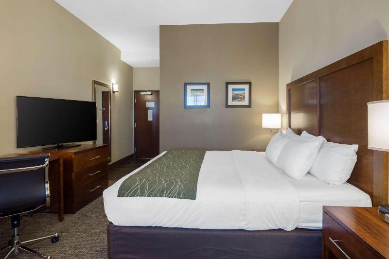 Comfort Inn & Suites Edgewood image