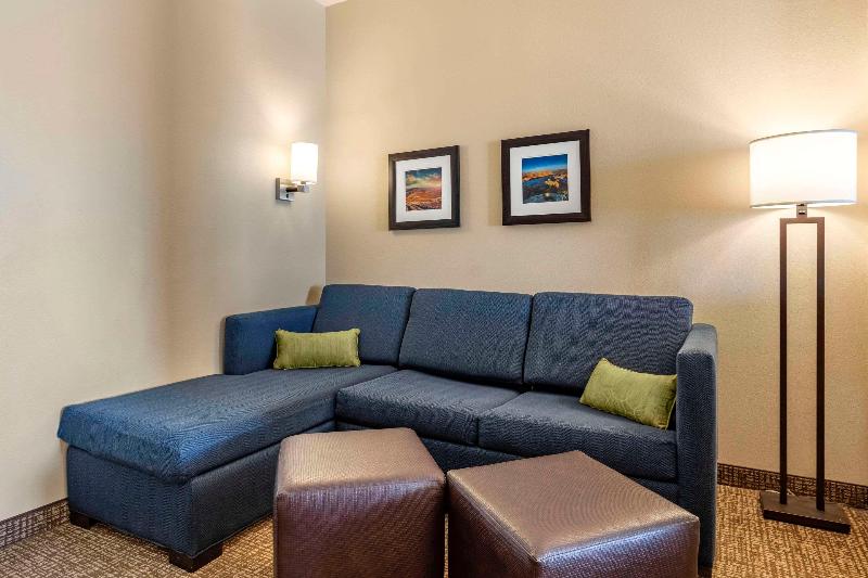 Comfort Inn & Suites Edgewood image