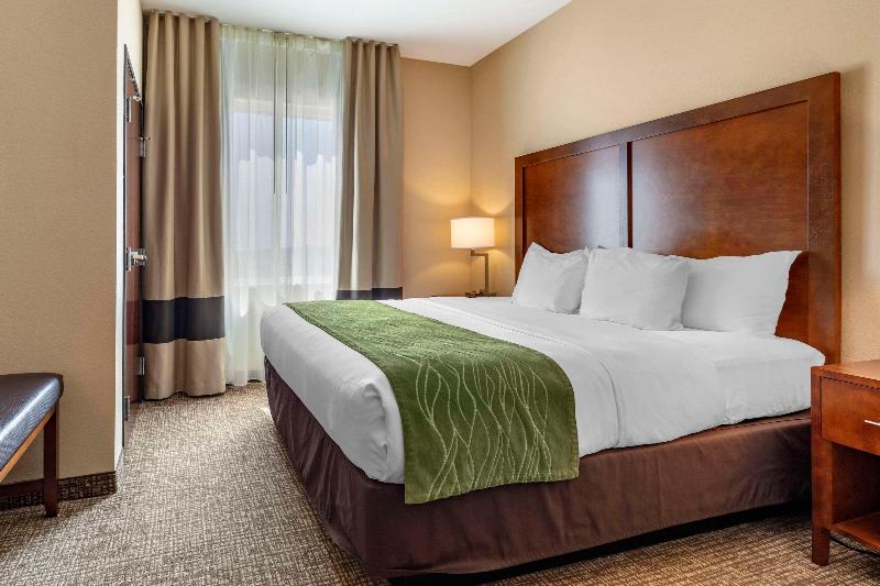 Comfort Inn & Suites Edgewood image