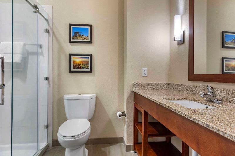 Comfort Inn & Suites Edgewood image