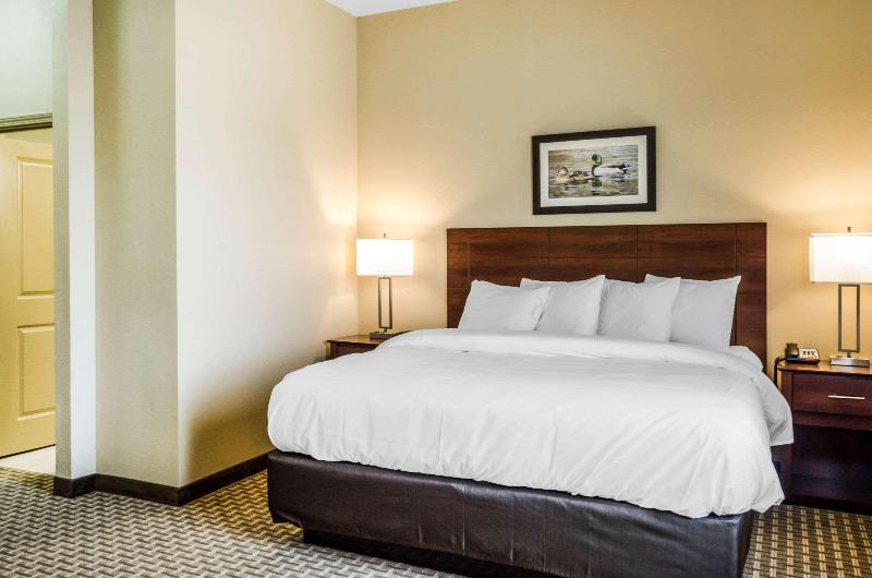 MainStay Suites Hackberry Sportsman's Lodge image