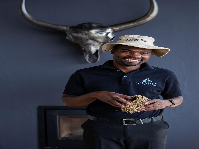 Cradle Boutique Hotel image