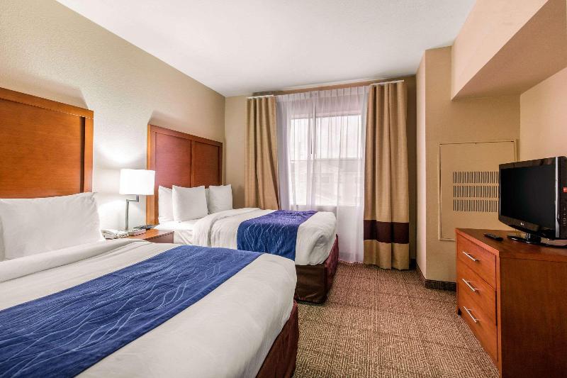 Comfort Inn & Suites IAH Bush Airport - East image