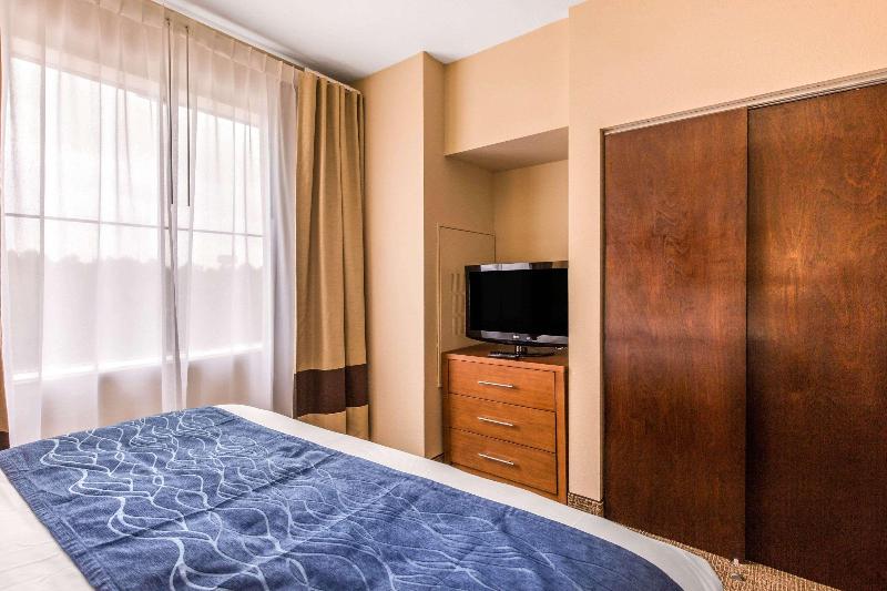 Comfort Inn & Suites IAH Bush Airport - East image