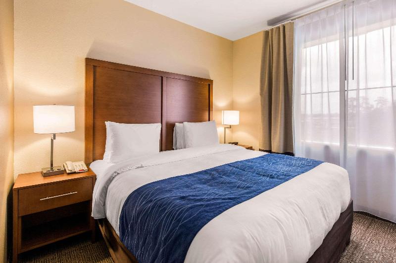 Comfort Inn & Suites IAH Bush Airport - East image
