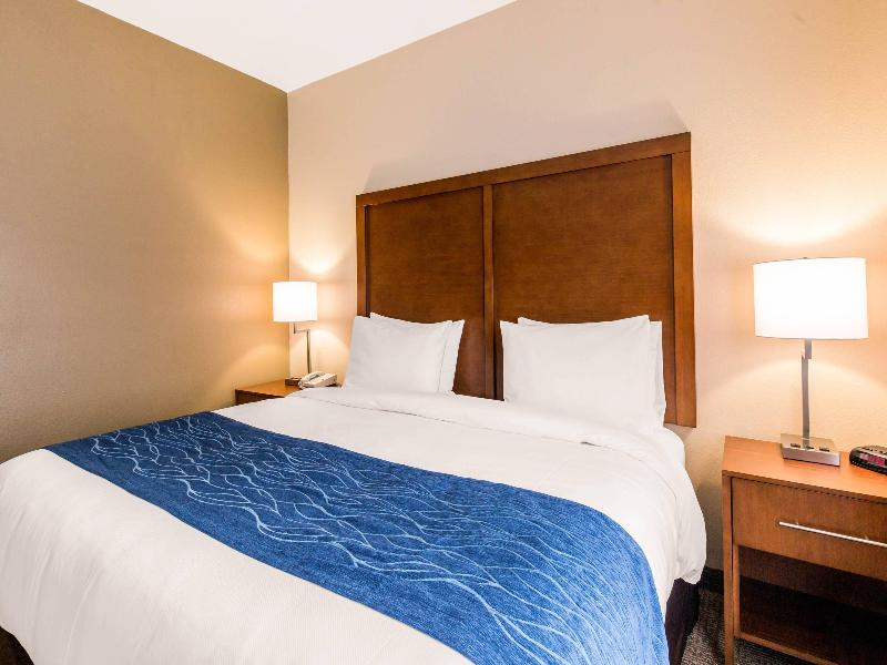 Comfort Inn & Suites IAH Bush Airport - East image