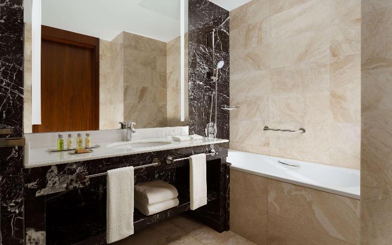 Hilton Astana image
