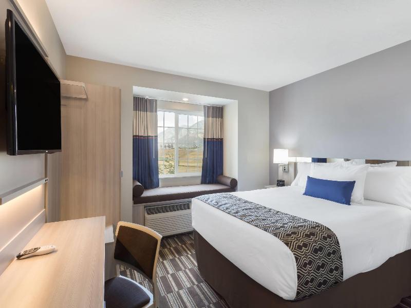 Microtel Inn & Suites By Wyndham Springville/Prov image