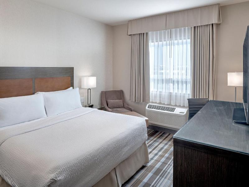 Room, 1 King Bed (1 King Bed)