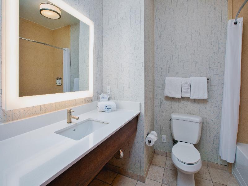Holiday Inn Express & Suites Auburn Hills By IHG image