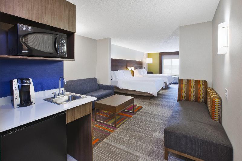 Hotel Holiday Inn Express and Suites Auburn Hills