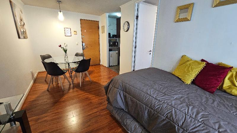 Vip Apartments Chile image
