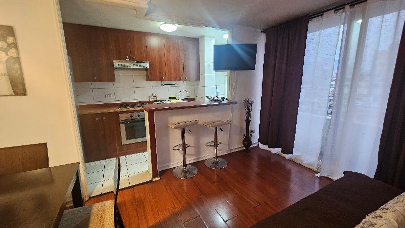 Vip Apartments Chile image