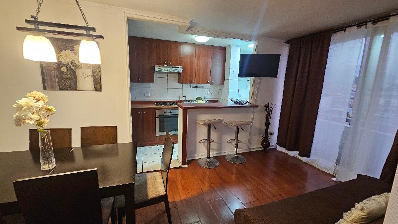 Vip Apartments Chile image