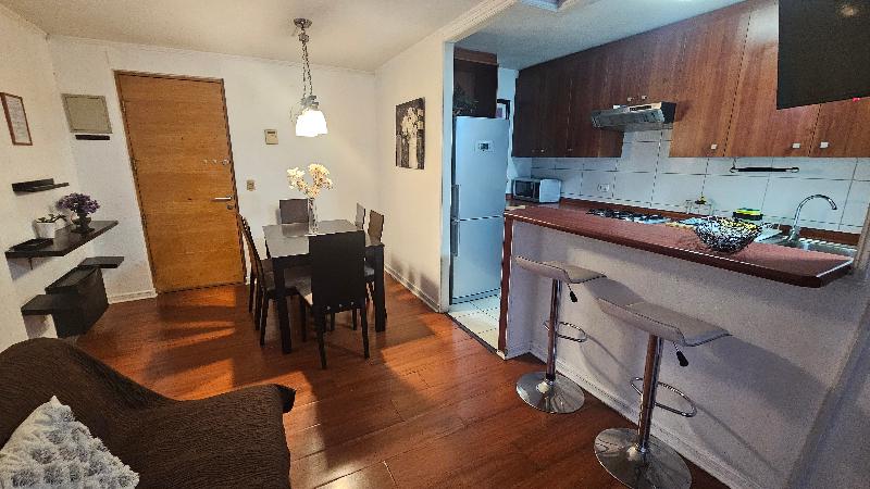 Vip Apartments Chile image