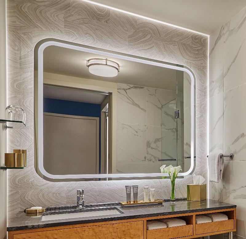 Viceroy Chicago image