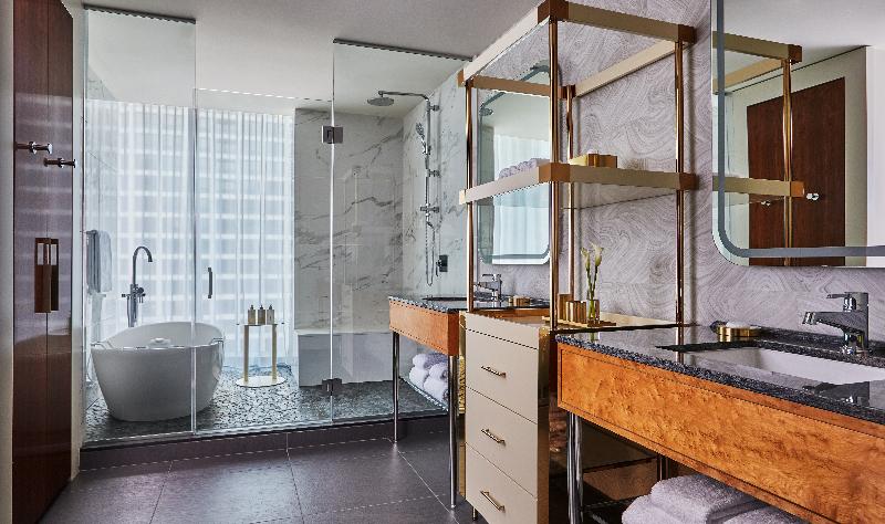 Viceroy Chicago image
