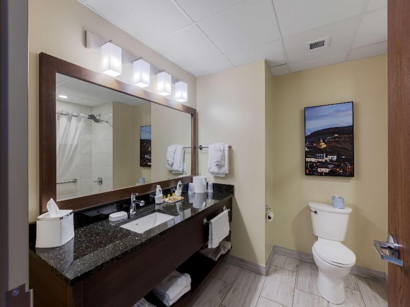 Best Western Plus St. John's Airport Hotel image